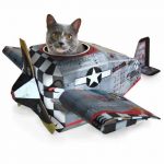 CatsPlay_Plane